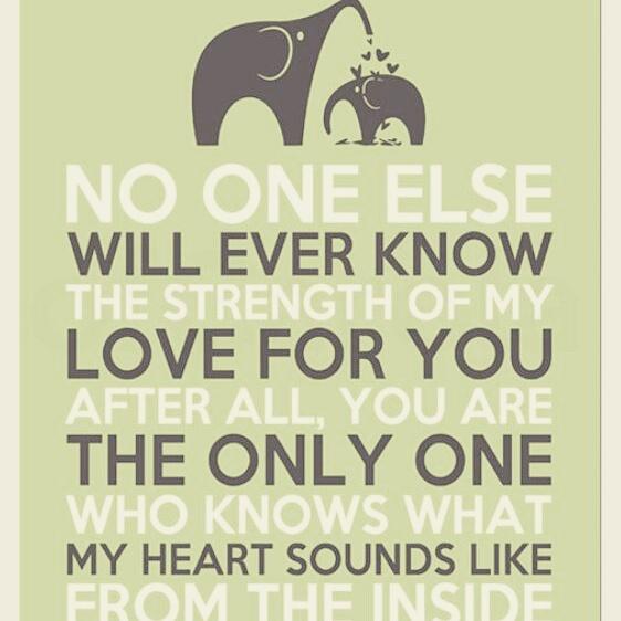 lauratoz's tweet photo. So excited to meet our baby squirrel @Sirrell85 #89days https://t.co/1dLVCrAc1w