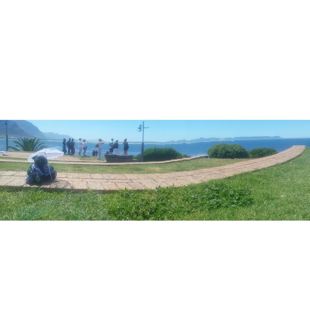 CustoteddiesSA's tweet photo. Yesterday in #Hermanus #CapeTown https://t.co/eIgRqlO6fK