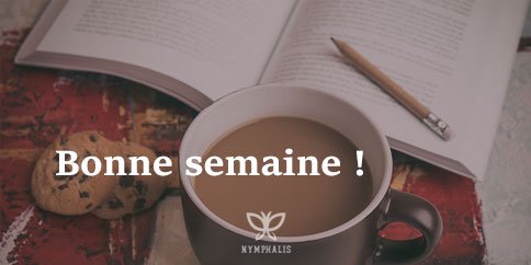 Nymphalis (@nymphalis_pro) on Twitter photo 