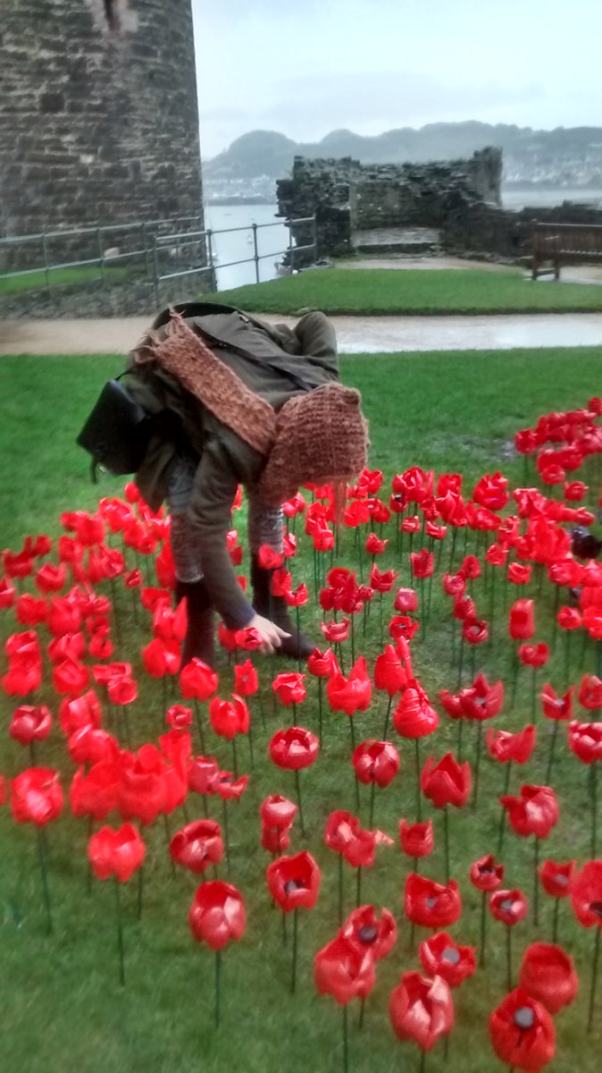 PoppyWorkshops's tweet image. #mondaymotivation make a difference this time last year i decided to ..#conwy #poppyappeal @BlindVeterans
