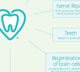 BioEdenUS's tweet photo. Stem cells can be found in your child baby teeth. You can save them for the future. WHY? : https://t.co/jR7GRUjmVr https://t.co/h05p6pAAii