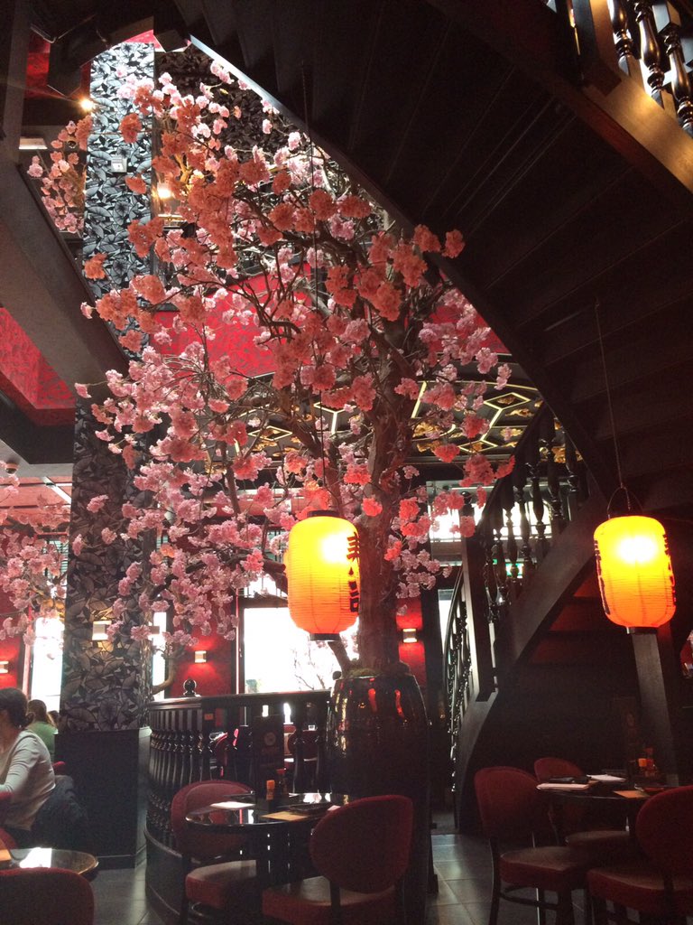 Dineren in klein Japan #sumo #experienceeconomy #ils #lifestyle