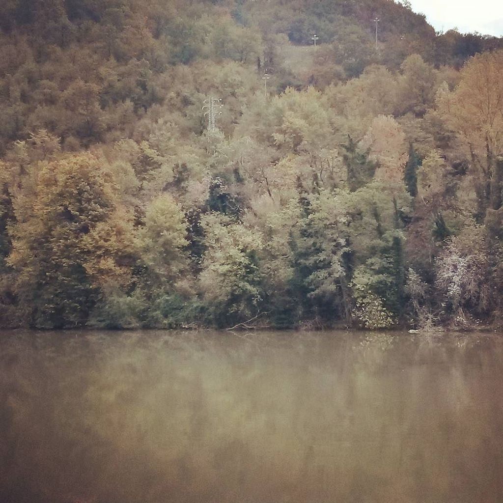 WeTuscany's tweet image. #Colorid&apos;Autunno #Toscana #CasaNuova #Ellera #PaceInteriore #RigenerazioneDell&apos;anima #passeggiatemattutine #Raulsul…