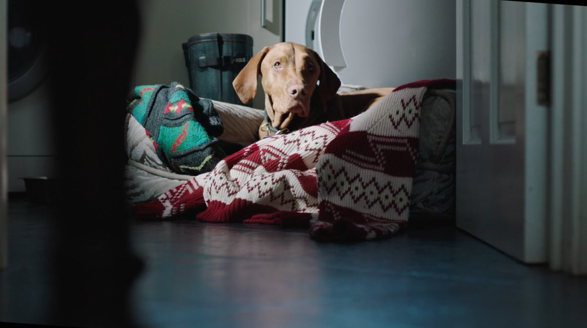 hackettlondon tweet media