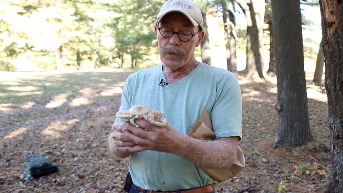 berksstories's tweet photo. There are no old, bold #mushroom hunters. Find out why. https://t.co/kHBn7ykQbk #berkscounty #readingpa https://t.co/RzYa9ijKwd