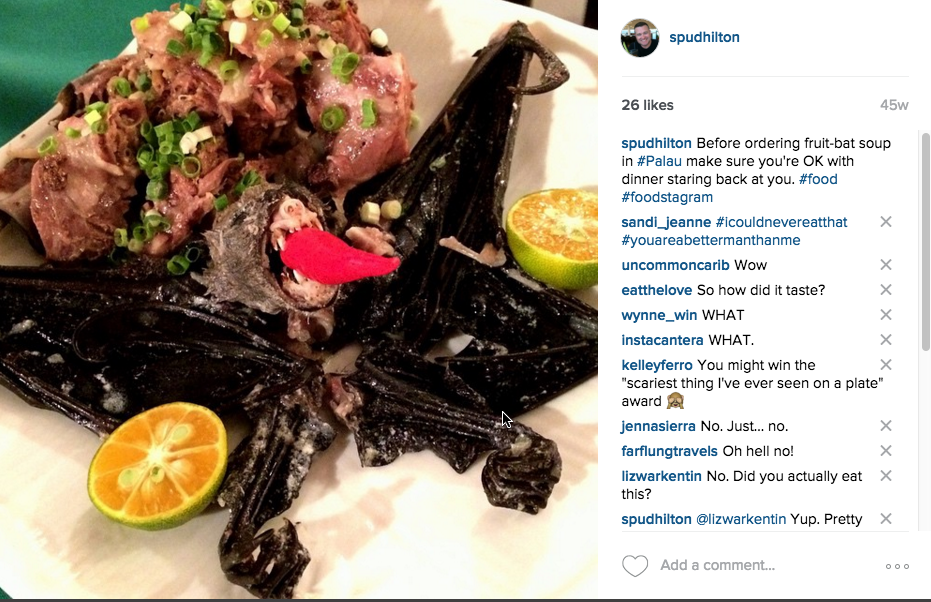 A9. Fruitbat soup in Palau. tasty freaky travelskills Spud Hilton
