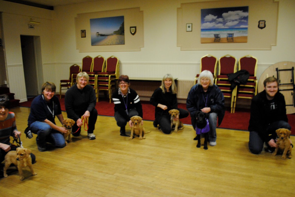 assistancedogsni tweet media