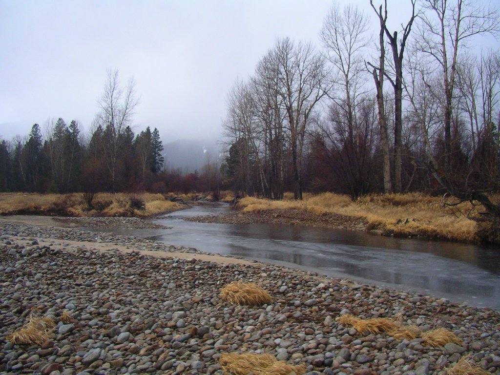 FVLT_Montana's tweet photo. Those look like #snowclouds over the #BitterrootRiver today!
#MyMontanaMonday #FVLT #SenseofPlaceMT https://t.co/q99yQwpS86