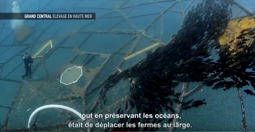 GdCentr4l's tweet photo. Ce soir à 23h30 sur @France4tv @VICEfr nous mène dans une prison de migrants en Libye &amp; dans une ferme en haute mer https://t.co/3lnmY0pm1s