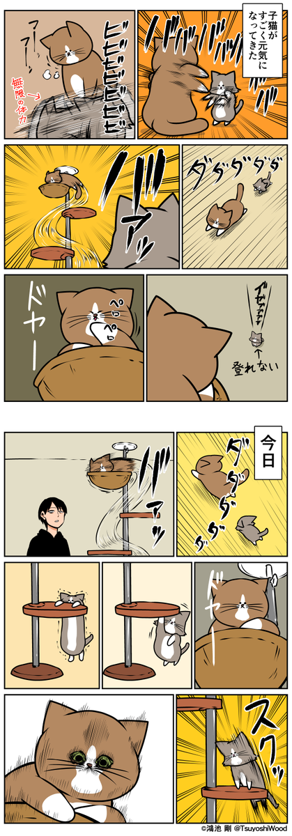 鴻池 剛 漫画日記 猫って驚いた顔するんだ T Co Unnqzzodn7 T Co Wwgecghtib 鴻池 剛 漫画日記 猫って驚いた顔するんだ T Co Unnqzzodn7 T Co Wwgecghtib