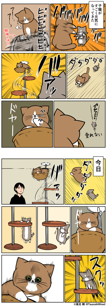 【漫画日記】猫って驚いた顔するんだ
 