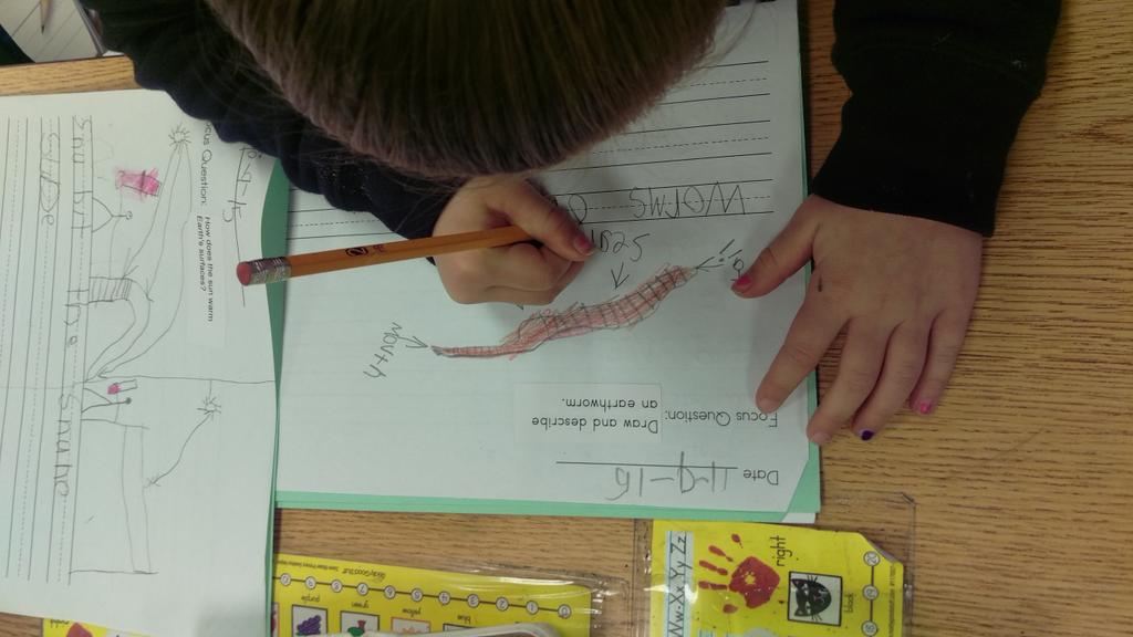 EllistarTara's tweet photo. AND writing like scientists! @kendal_moss https://t.co/6pM8e6H0BS