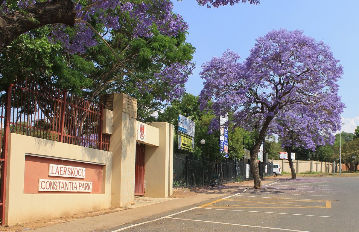 BestofPretoria's tweet photo. Residents voted and one Afrikaans primary school came out tops. Congratz to Laerskool Constantia Park! #bop2015 https://t.co/LCvvSA496n
