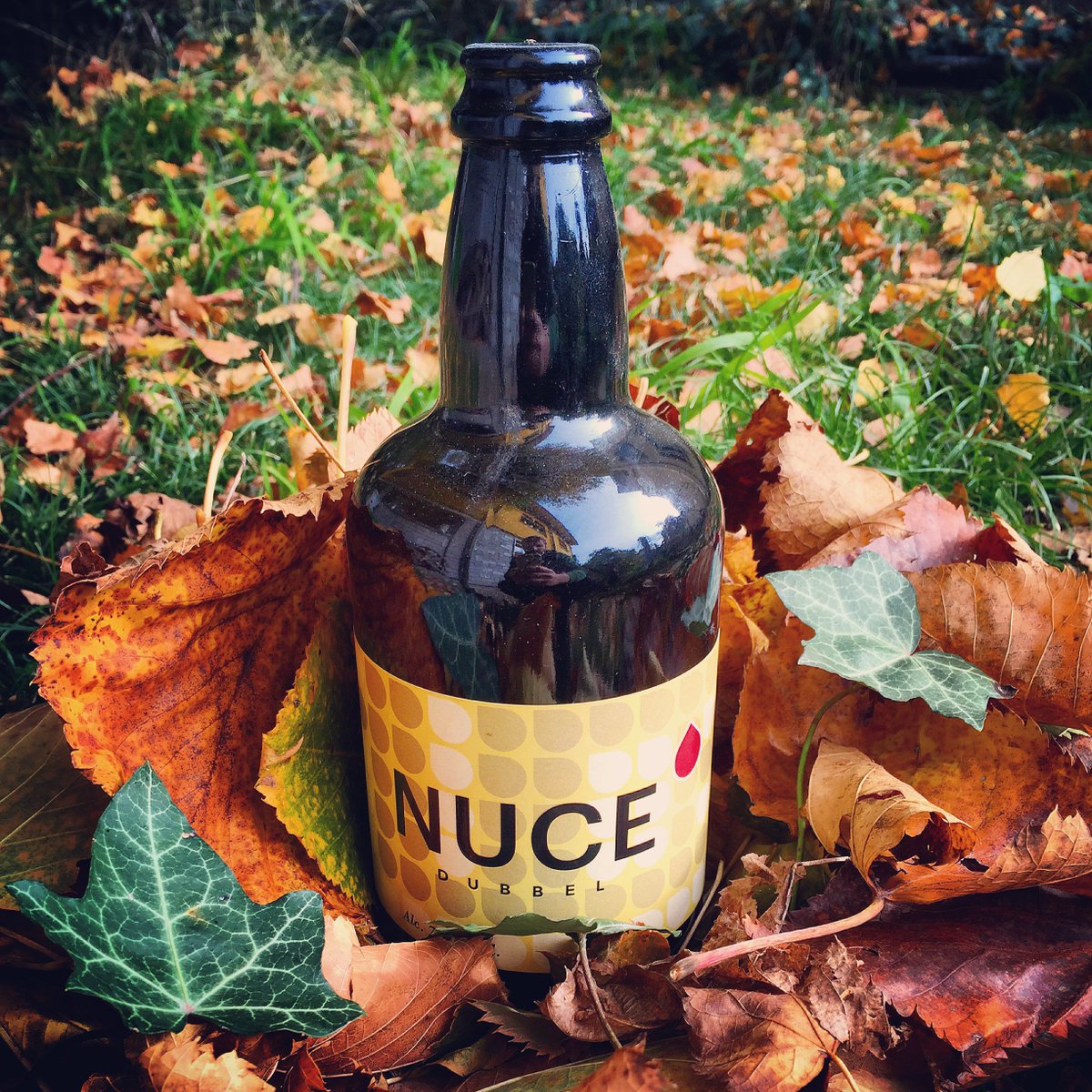 #Birra d'#autunno? Avete provato la nostra #Dubbel, la #Nuce?
#BirrificioSettimo
#B7inside