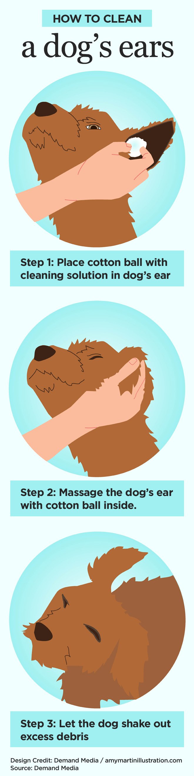 Best way to clean a dog's ears outlet out