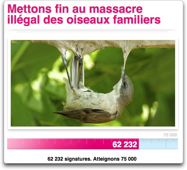 Pierre_Alouit's tweet photo. @afpfr Disparition de certaines espèces  #petition ici => https://t.co/q9kpdNT3j1 https://t.co/whS9jSYfCt