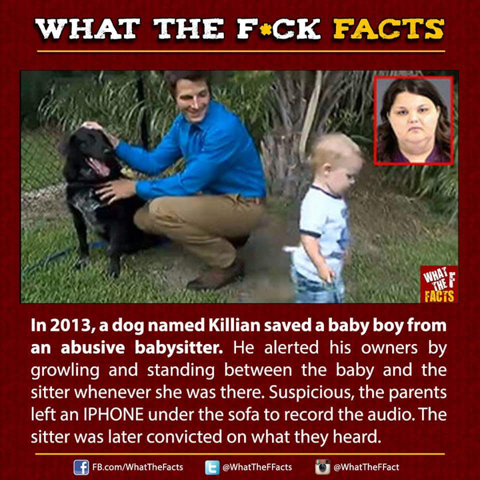 WhatTheFFacts tweet picture