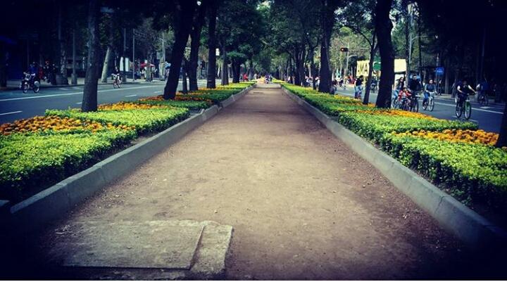 Isa_Plata03's tweet photo. Vagando en Domingo por mi #CDMX #visitMéxico #turismoDF 😍📷💜👏 🇩🇫 https://t.co/uFL8Vu9kqg