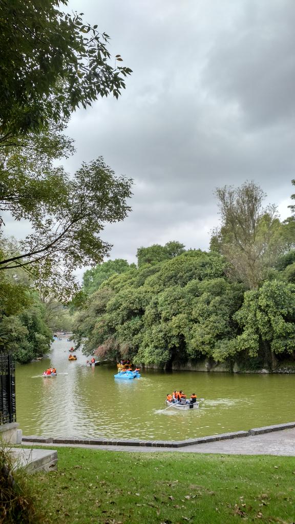 Isa_Plata03's tweet photo. Vagando en Domingo por mi #CDMX #visitMéxico #turismoDF 😍📷💜👏 🇩🇫 https://t.co/uFL8Vu9kqg