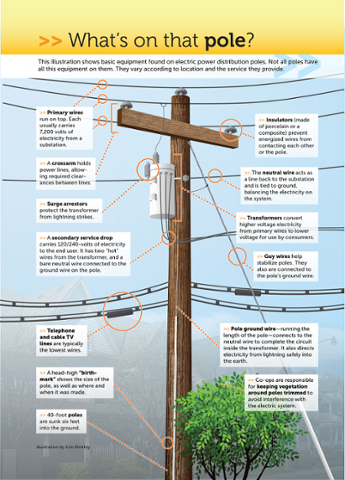 IndianaEC's tweet image. What equipment is on an electric power distribution pole? Find out in this graphic from @NRECANews.