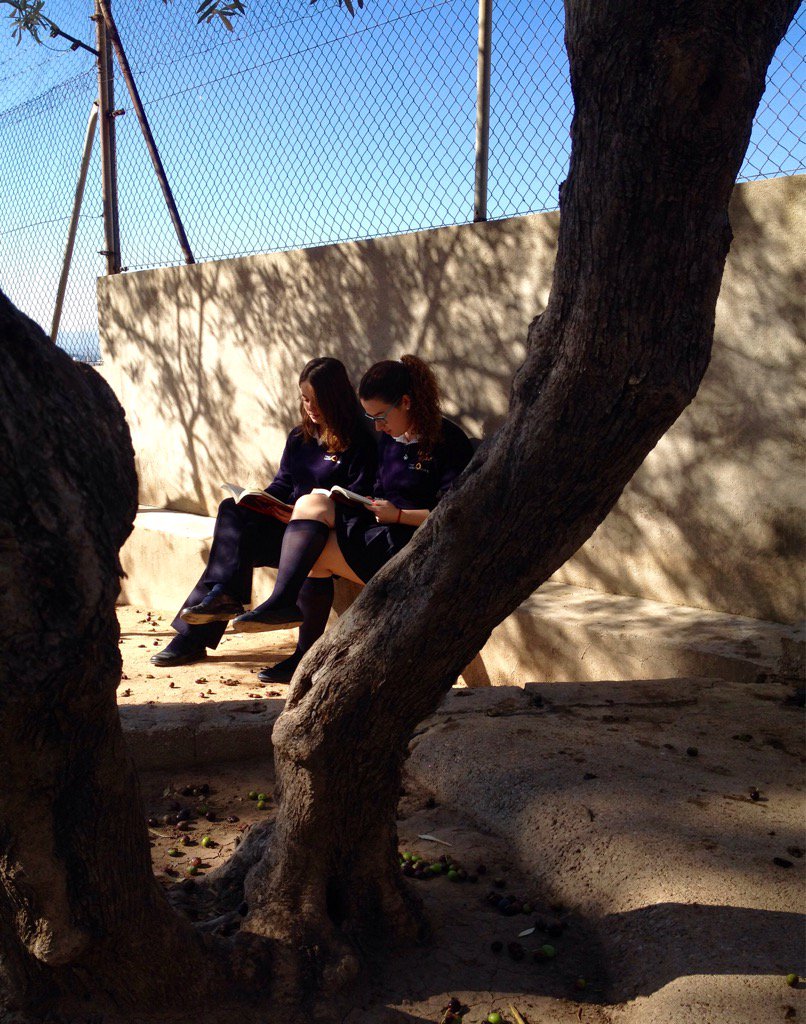 nandis_ma's tweet photo. Aprovechando la magnífica mañana, el alumnado de 4°ESO hemos disfrutado al aire libre de la lectura. @cole_sagrada https://t.co/cuQkvMM1On