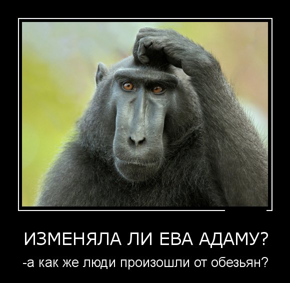 teterinaasss's tweet photo. https://t.co/1T9bgf4Jcn