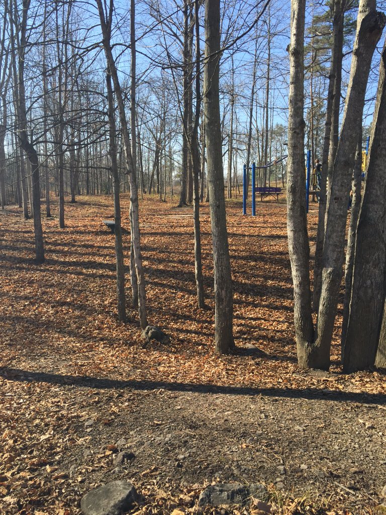TES_LDSB's tweet photo. What a great day for being outside on the yard #enjoywhilewecan https://t.co/KINVT0ppgj