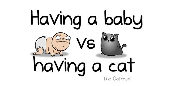 purringtonpost's tweet photo. Having a baby vs. having a cat ~ https://t.co/1PmYz9Qj0K | via @HuffPostUKCom https://t.co/35yIu9Z5vp