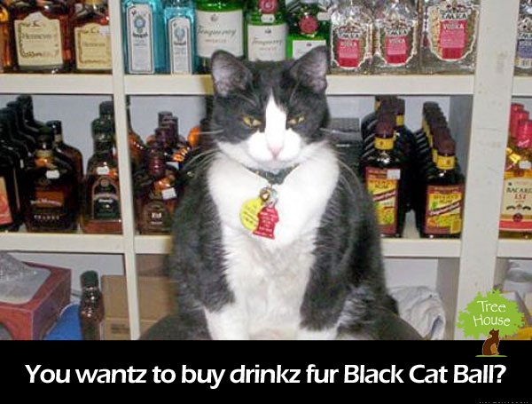 TreeHouseCats's tweet photo. Can't attend #BCB2015? Donate a virtual drink instead, because every dollar counts! https://t.co/UphmZGBfQn #Chicago https://t.co/V9ki1XybSQ