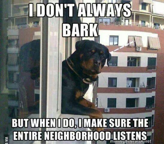 RottieFanClub's tweet photo. Too funny :)

Like ✔ Comment ✔ Share ✔ https://t.co/fYfUdLFFNd