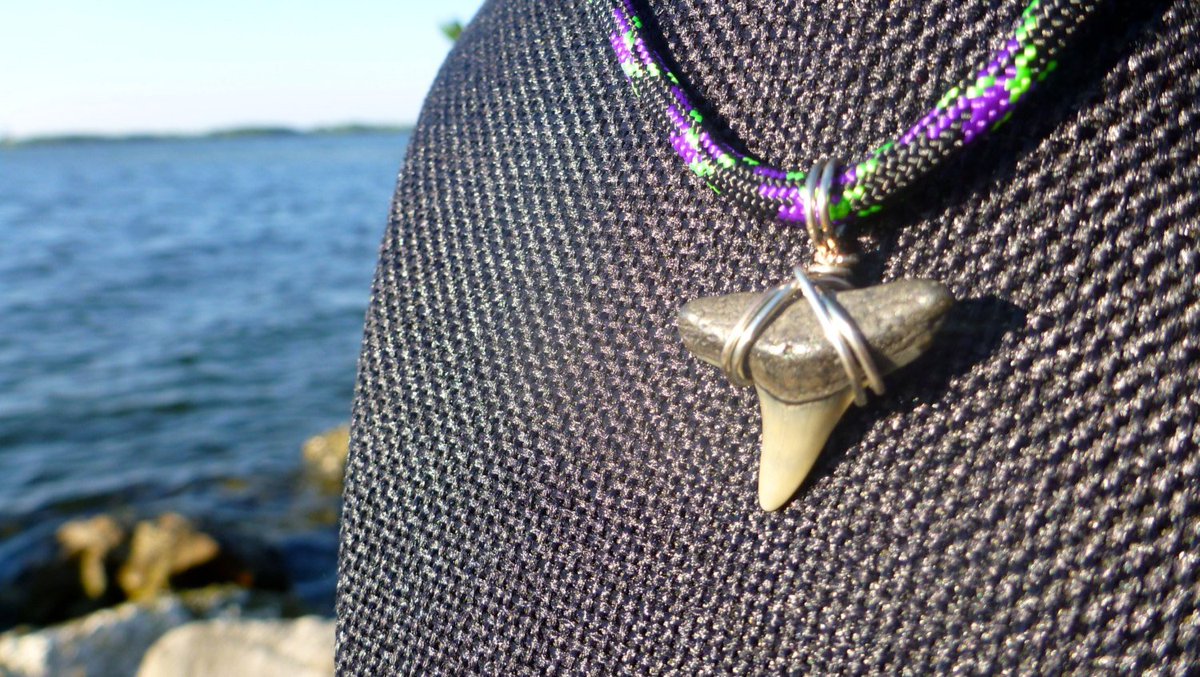 SharkyGoodsShop's tweet photo. Pre-made Adjustable 550 Nylon Paracord Fossil Shark Tooth Necklace : Lemon … https://t.co/epdcpoqnt7 #Etsy #Paracord https://t.co/4hKOcTTz6p