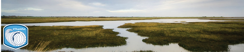 NOAADigCoast's tweet photo. We’re #thankful for the Coastal Zone Management Act--the foundation for all the work we do! https://t.co/Kad4DuCHhg https://t.co/EcgAakltUx