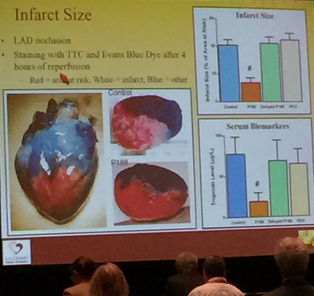 rcpmexico's tweet photo. Poloxamer 188 reduce la porción de un infarto en un 60% trabajando directamente en la mitocondria en #ReSS15 #AHA15 https://t.co/EDPGfVhUbE