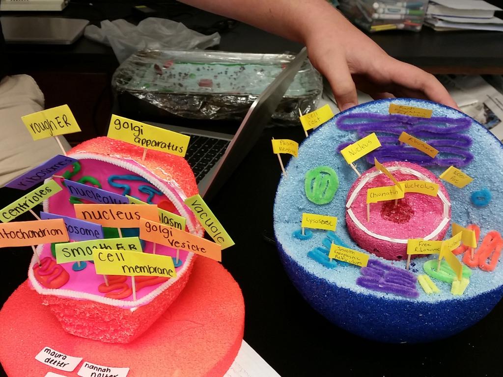 MCABids's tweet photo. #bioprojects https://t.co/823Bjqndv9