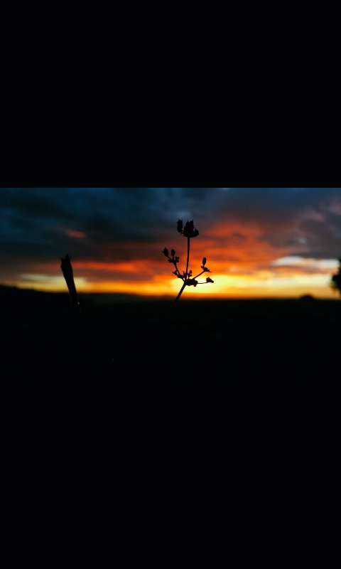 Steff Zeus tweet media