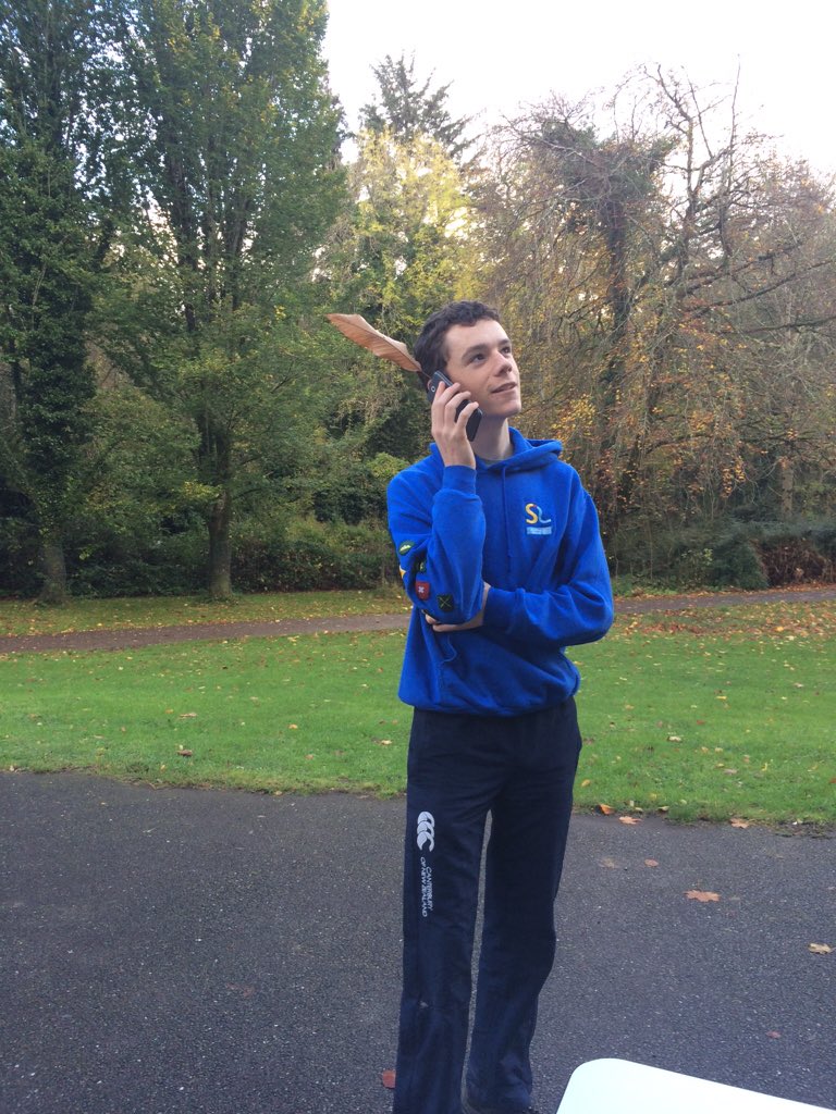 1stKerryTralee's tweet photo. One even found 'treeG' in the park #OneManManyPuns https://t.co/DjrqexMGLx