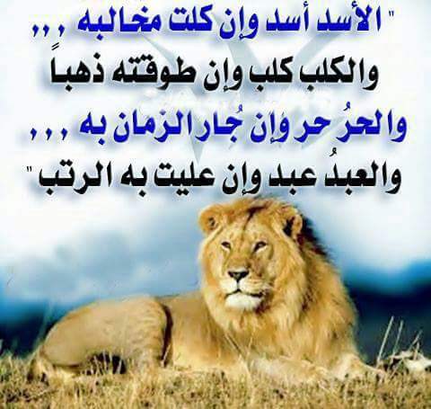 JoboryJomaa's tweet photo. https://t.co/nGLz8fjDtu