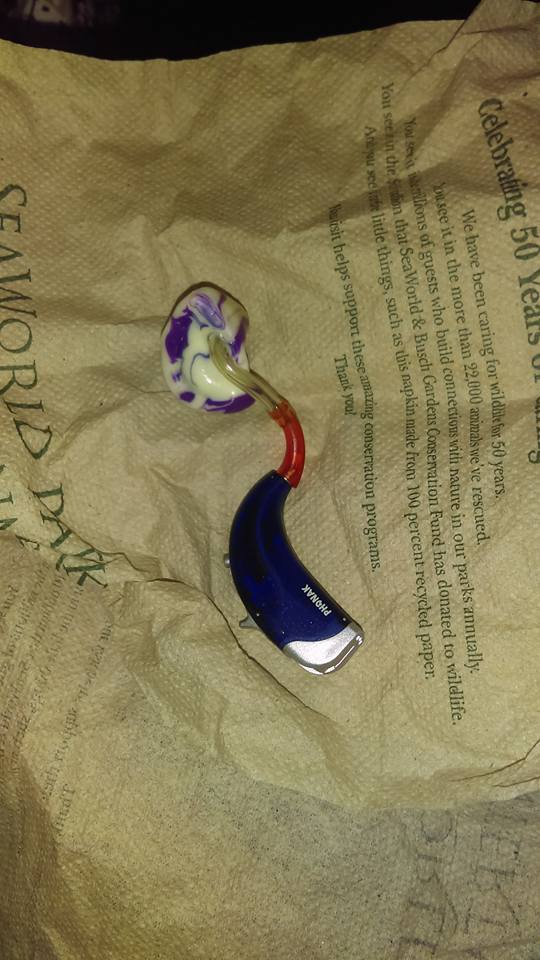 HardCoreBG's tweet image. RT @ST_Rachel: Child Hearing aid found #BuschGardens Tampa 11/7 #lost #found @RachelColeman fb.me/3suecO9u3