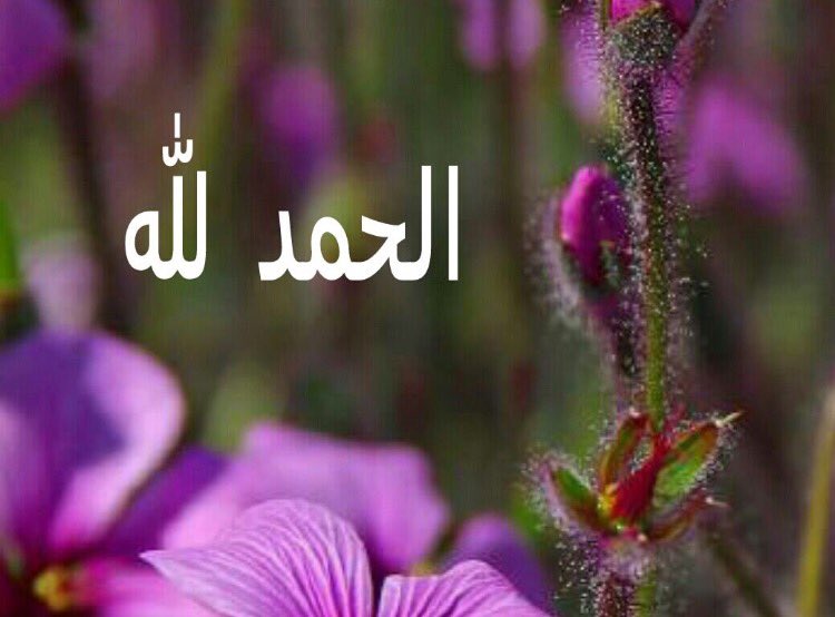 الحمد لله
باللسان ذكروبالجوارح شكر
الحمدلله في السراء،وفي الضراء
الحمدلله نبلغ بهارضاه
ونستجلب بهاهداه
#للجنه_نسعى