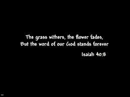 WillmsJoan's tweet image. 