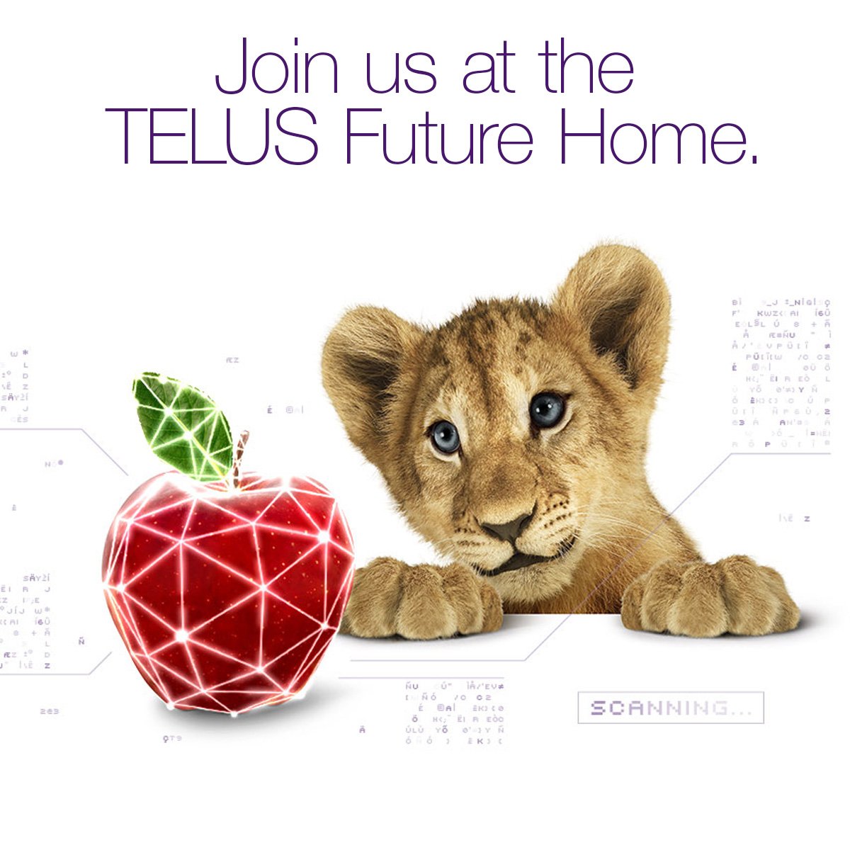 PacificCoastCom's tweet photo. Excited to have @TELUS’ Future Home in #Kelowna. Don’t miss this cutting-edge tech experience. #TELUSfibre https://t.co/qTnFjlYx8p