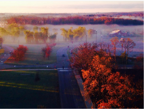 ICYMI: Check out this gorgeous photo by @sheaegpuckett of #BrockU's campus #BrockUisBeautiful #NiagaraEscarpment