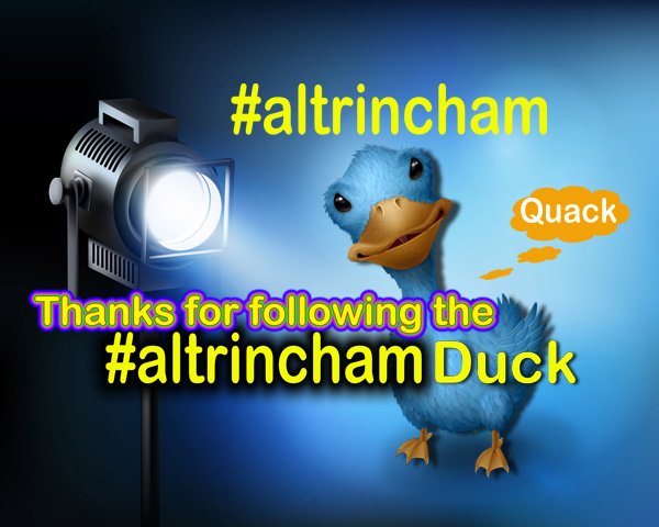 Altrinchamduck's tweet photo. @KidsHoverboards Can a #altrincham duck use a hover board, that is the question #quack
Thanks for the follow https://t.co/6nvFzLxJ2h