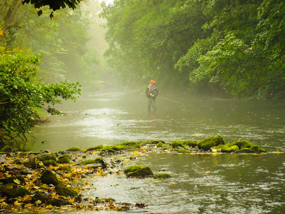 peaksflyfishing's tweet image. Look through some #flyfishing pics from this season. Love this shot of our river in the mist.