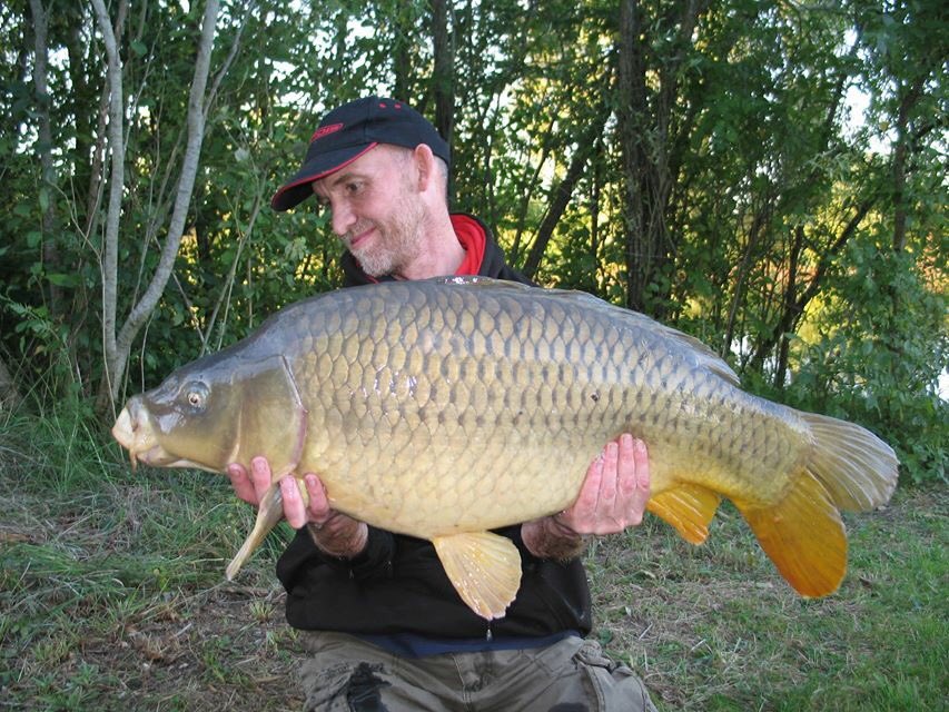 qualitybaits's tweet image. Squid and Orange doing the business for Graham #qualitytalks