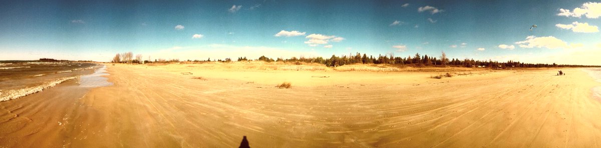 Sandpiperseagul's tweet photo. #SaubleBeach cleaned-up. Should make for a great beach environment for beach-goers in 2016. See: https://t.co/zL8lUaCoIz