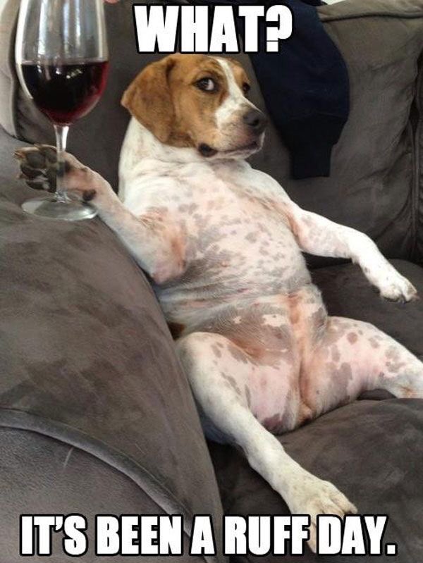 Players1985's tweet photo. Has your Monday been a little rough already? Come in to Players and enjoy half price bottles of wine all night! https://t.co/uf1XM3aUYh
