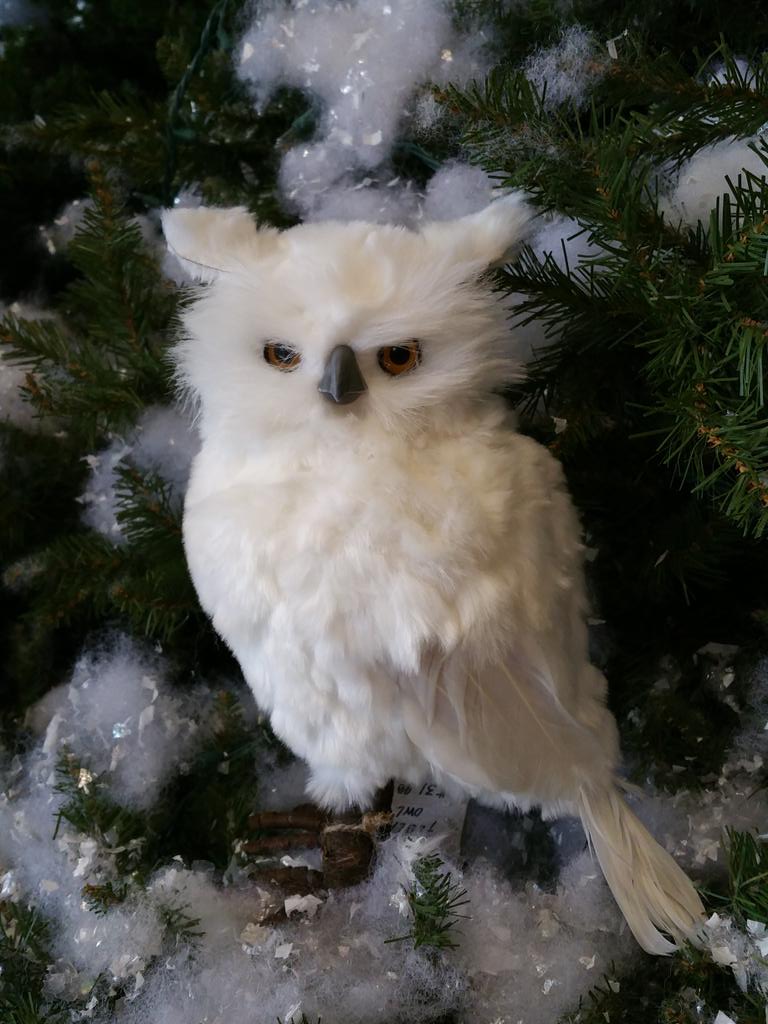 Go_Geis's tweet image. Who's your favorite outdoor specialty store? #whynotvinyl  that's who!