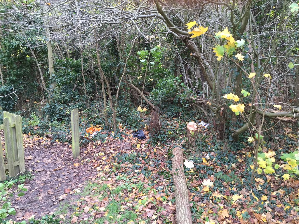GladePaws's tweet photo. Work has begun on the woodland path on the @GladePrimary school field looking forward to the PAWS for thought zones https://t.co/pH5iGo17Op