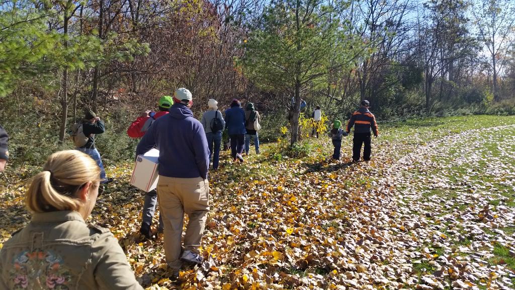 IdlewildFriends's tweet photo. We had a great day yesterday #foraging and learning about wild edible plants! @wildmanbrill @CitizensNYC https://t.co/XwDt7SC4N7